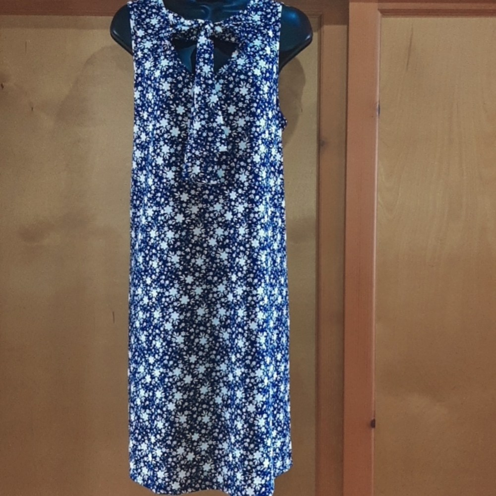 Tiffany and grey dress XL